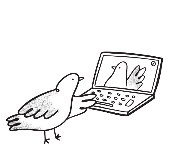 Image Alt Text